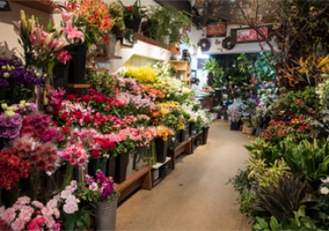 神奈川県横須賀市の花屋 フラワーショップ旭屋にフラワーギフトはお任せください 当店は 安心と信頼の花キューピット加盟店です 花キューピットタウン